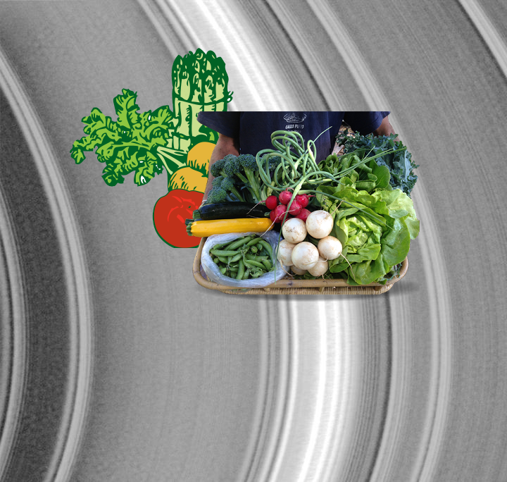 Something Strange, A Mystery ; Rings Galore! PIA06709