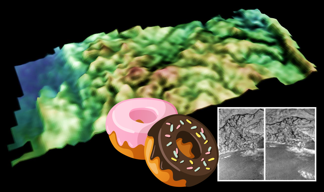 Something Strange ; Bright Highlands and Dark Plains! PIA06441