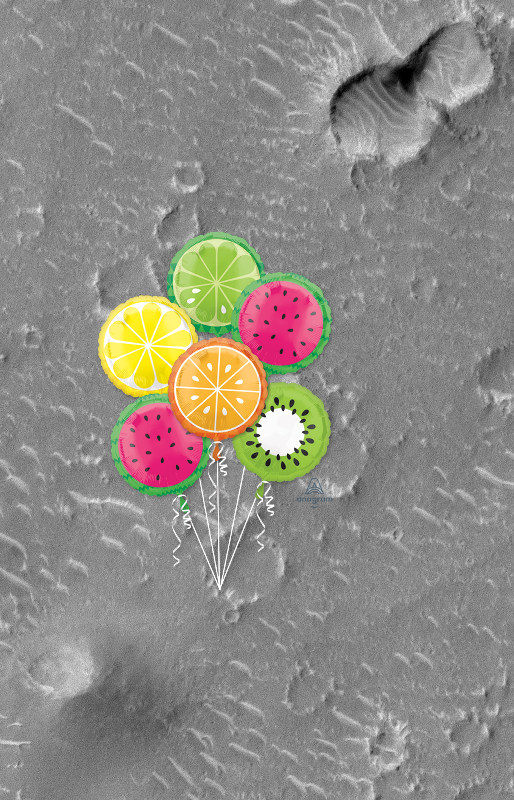 A Mystery + Craters and Bright Dunes of Isidis Planitia PIA01678