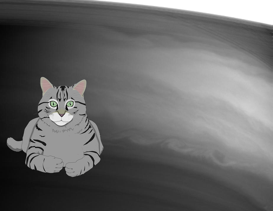 An Unexpected Discovery – Bright Equator. PIA06487