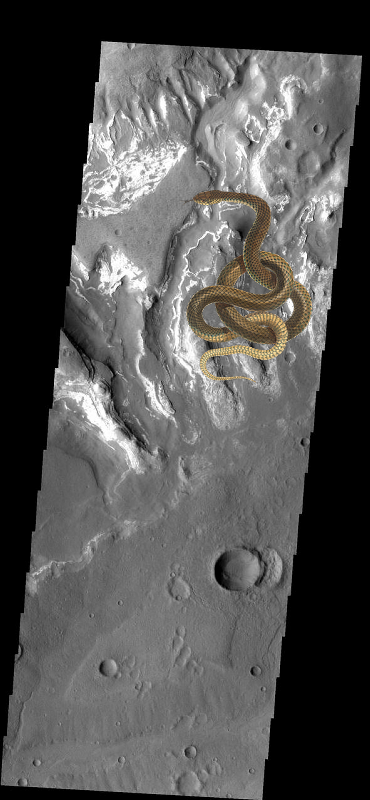 A Mystery ; Bright and Dark! PIA08650