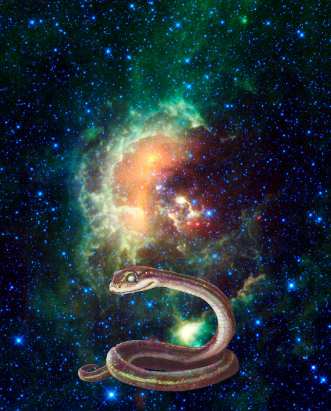 A Mystery @ Asteroid Caught Marching Across Tadpole Nebula PIA13110