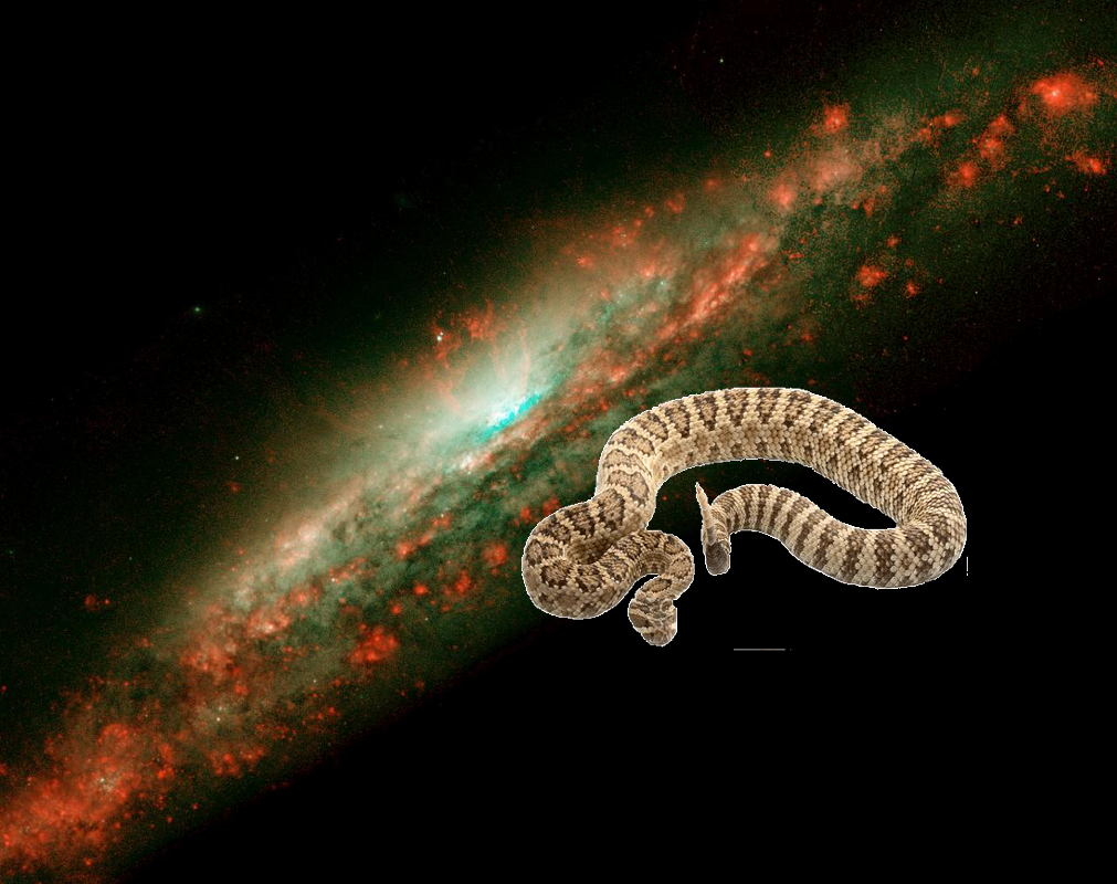 Something Strange @ Galaxy NGC 3079! PIA04209