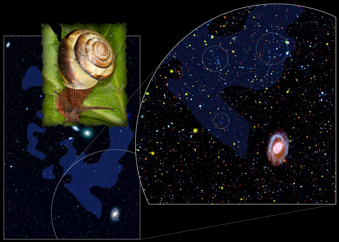 An Unexpected Discovery @ Seeing Baby Dwarf Galaxies! PIA11805