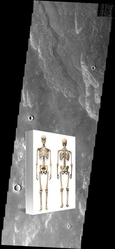 Something Strange on Bright Dunes. PIA09293