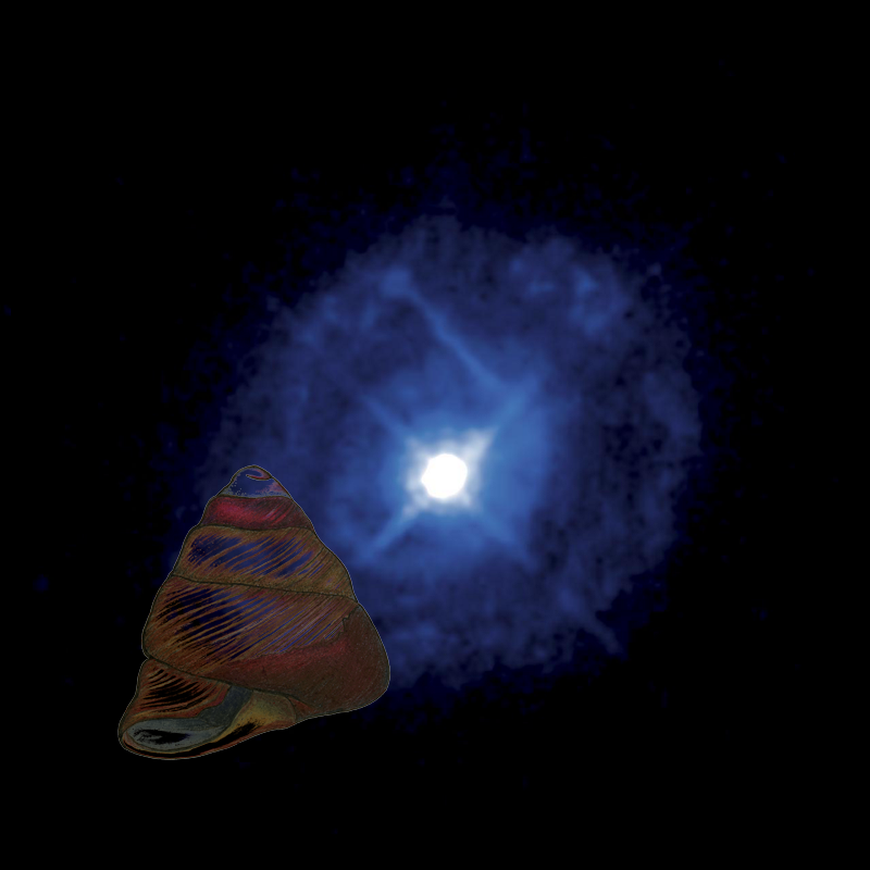 An Unexpected Discovery + Space Telescopes Reveal Secrets of Turbulent Black Hole. GSFC_20171208_Archive_e001872
