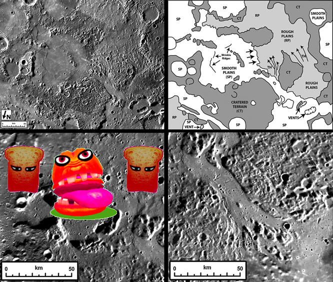 Something Strange on Spectacular Volcanic Features on Mercury  PIA14848