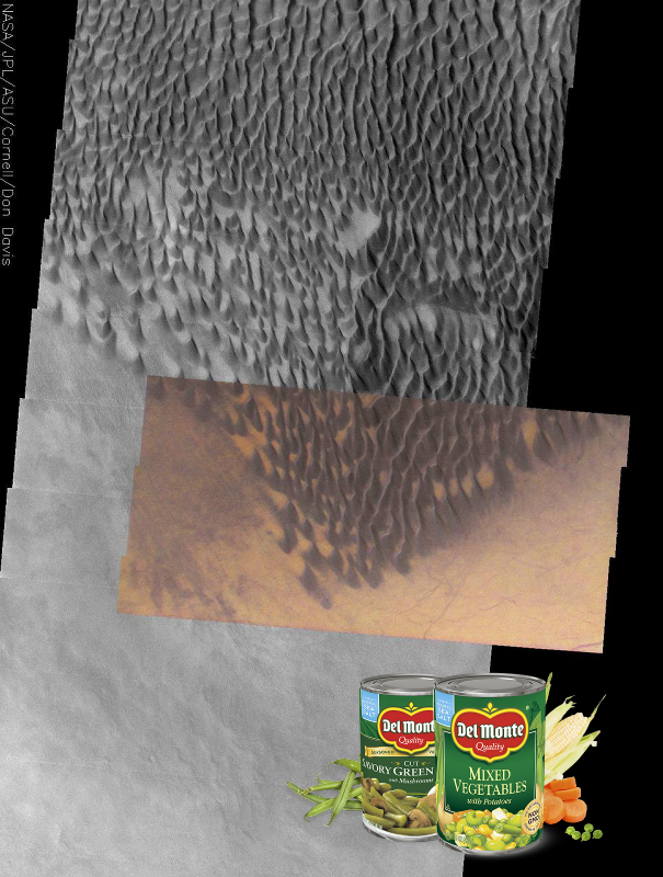Something Strange ; Dark Gray Dunes, Bright Orange Dust! PIA04970