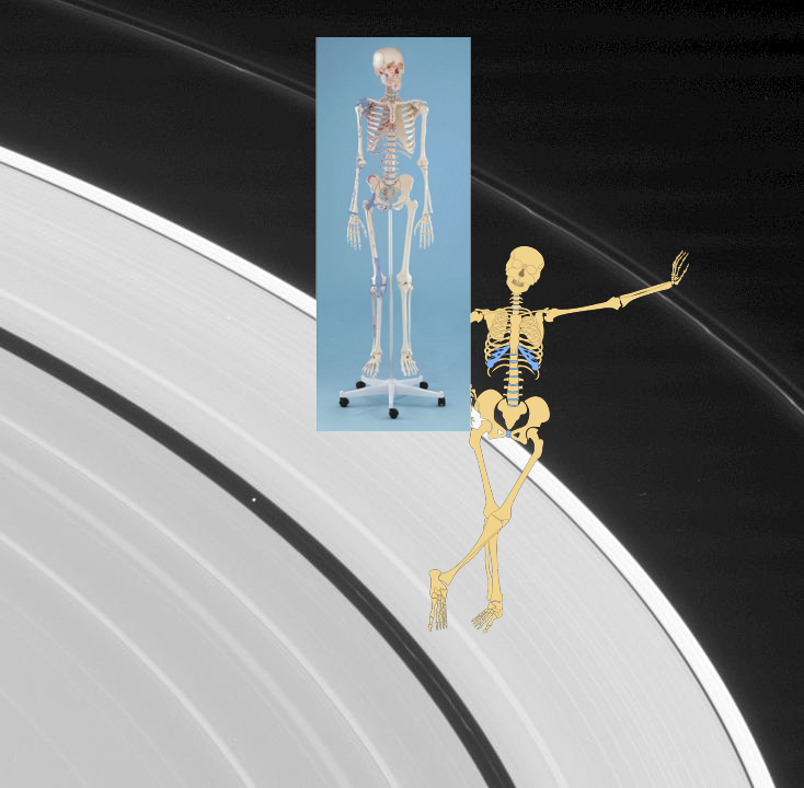 A Mystery, An Unexpected Discovery + Ring Study Subjects. PIA07574
