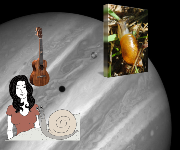 A Mystery, A Mystery, Something Strange | Rare Hubble Portrait of Io and Jupiter PIA01258