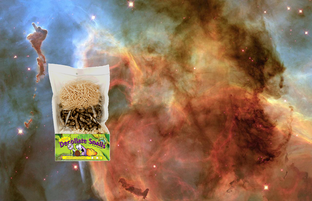 A Mystery + Light and Shadow in the Carina Nebula. PIA14444