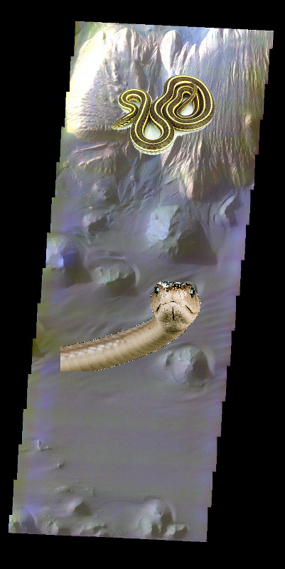 Something Strange, A Mystery – Ganges Chasma in Color. PIA04831