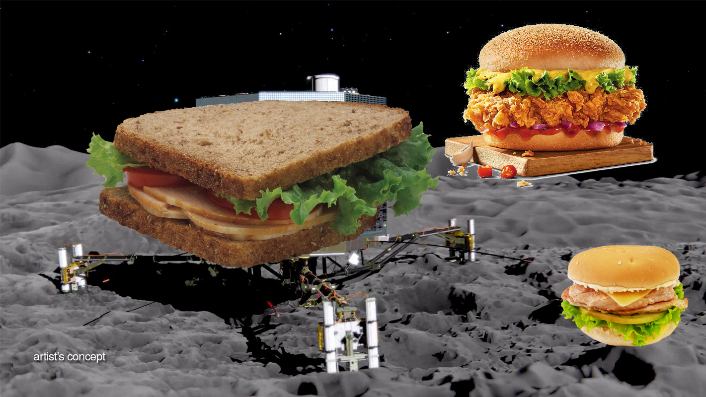 An Unexpected Discovery, Something Strange, A Mystery ; Philae Descent and Science of the Surface PIA18891