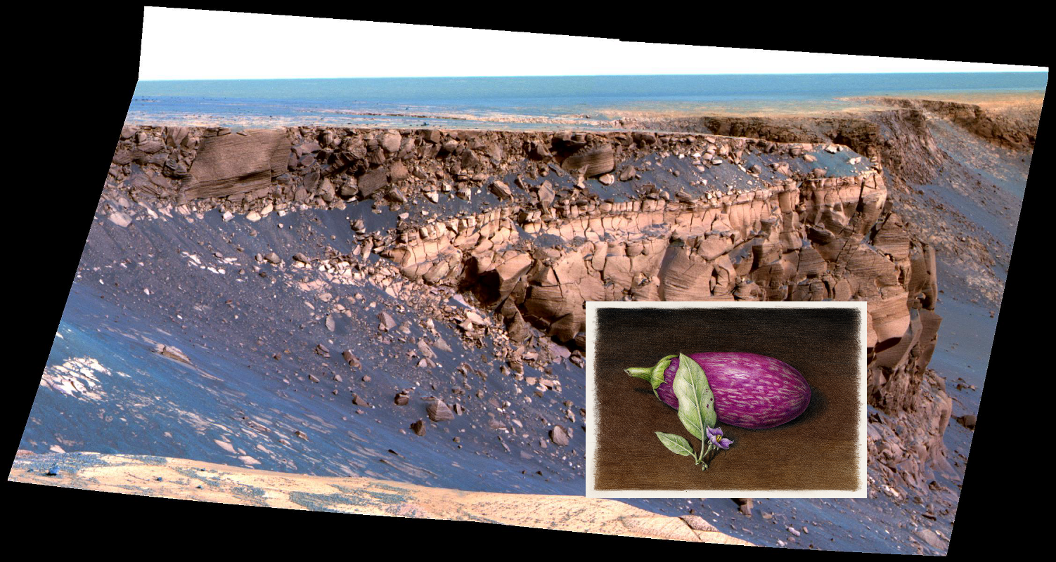 An Unexpected Discovery | Band of Bright Rock False Color. PIA09695