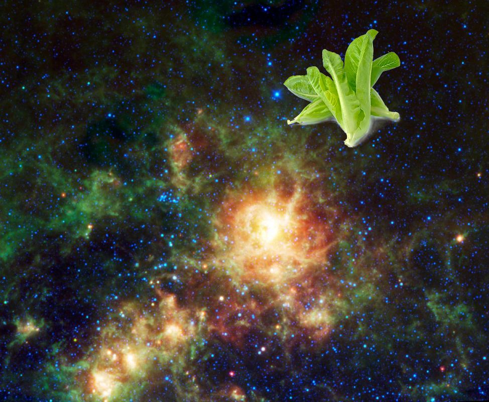 An Unexpected Discovery | WISE Spies the Tarantula Nebula. PIA13118