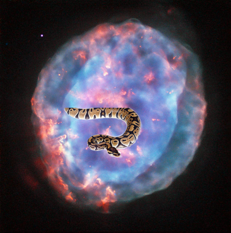 A Mystery – Little gem hubble-finds-a-little-gem_20185002499_o