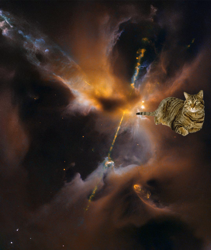An Unexpected Discovery + Hubble Sees the Force Awakening in a Newborn Star GSFC_20171208_Archive_e000497