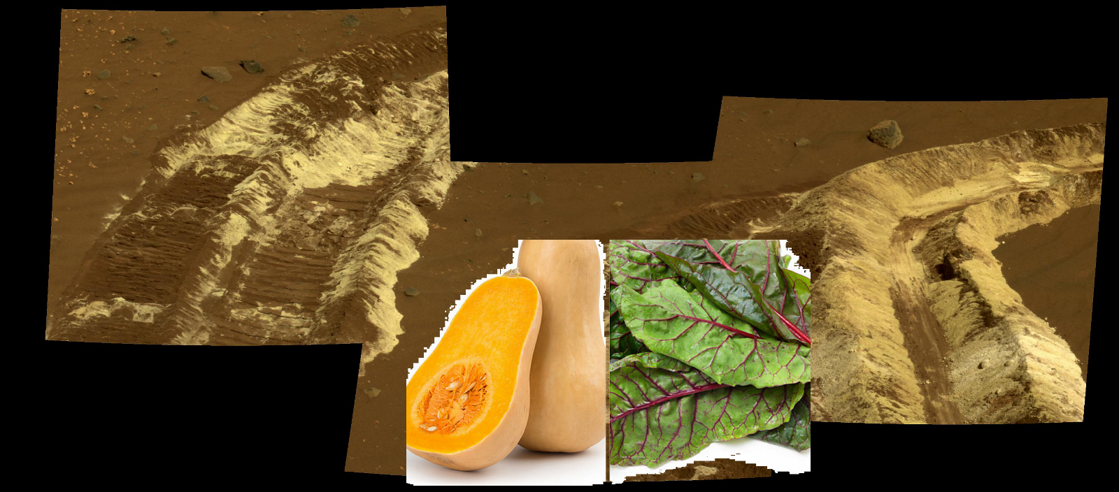 An Unexpected Discovery ; Bright Soil Near McCool. PIA08039