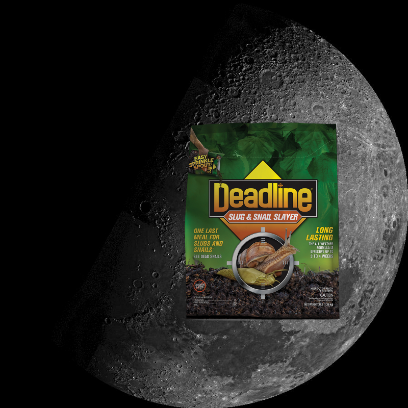 Something Strange – Moon North Pole! PIA02442
