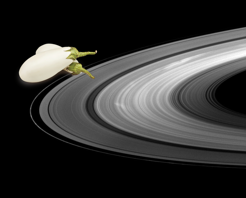 A Mystery ; Portrait of Bright Spokes PIA11605