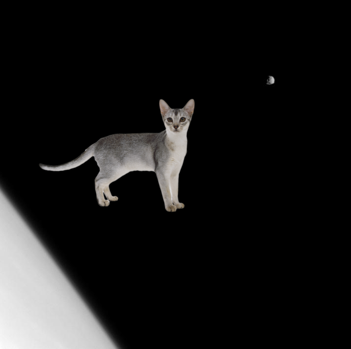 A Mystery + Belittled Moon! PIA11492