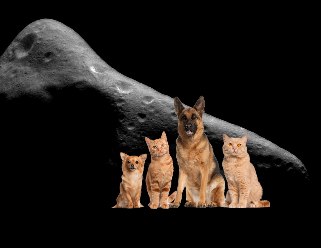 Something Strange – The Sculptured Surface of Eros PIA02480