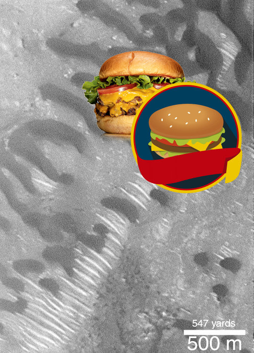 An Unexpected Discovery, Something Strange on Dark Dunes Over-riding Bright Dunes. PIA02356