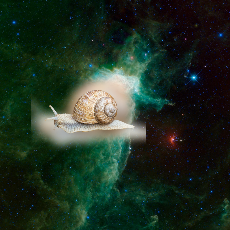 An Unexpected Discovery on A Different View of the Flame Nebula PIA15635