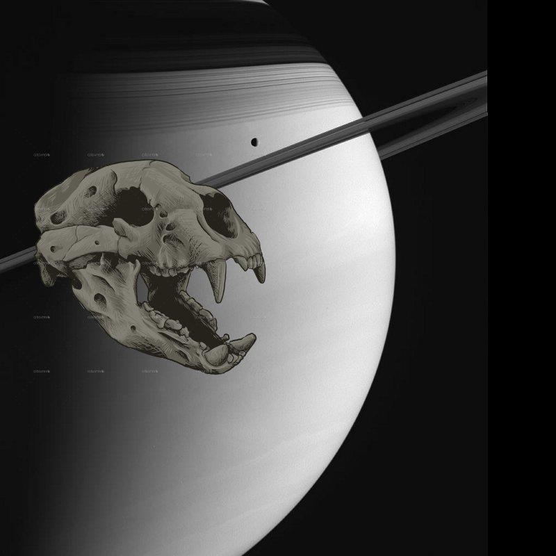 An Unexpected Discovery + Saturn and Tethys! PIA07560