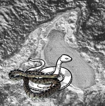???, An Unexpected Discovery on Pluto: On Frozen Pond PIA20543