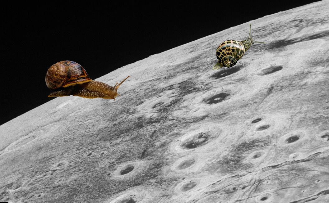 Something Strange, An Unexpected Discovery @ Zigzagging Across Pluto! PIA20286