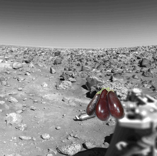 Something Strange on Ejected Shroud on the Martian Surface. PIA00527