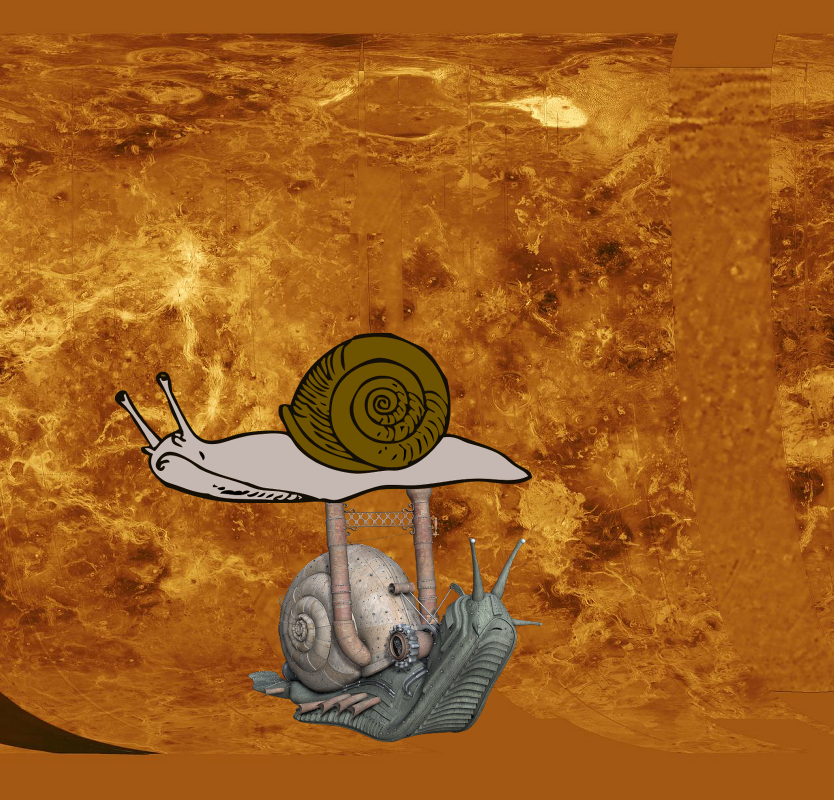 An Unexpected Discovery, Something Strange ; Venus - Simple Cylindrical Map of Surface Western Half! PIA00255