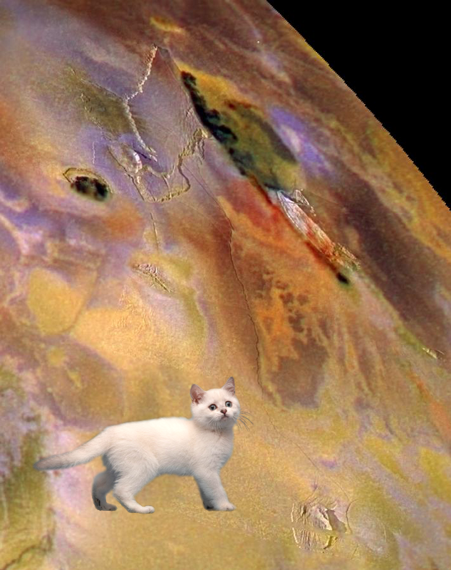 Something Strange – Zal Patera, Io, in color. PIA02527