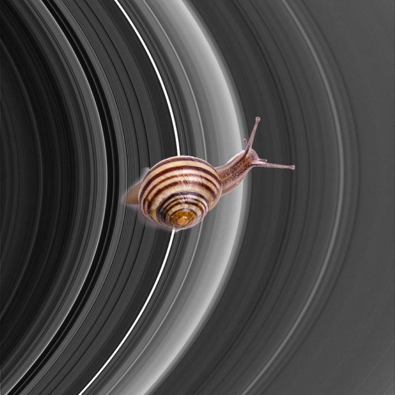 A Mystery ; New Rings for Cassini Division PIA08331