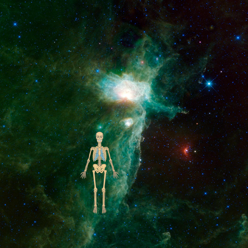 An Unexpected Discovery ; A Different View of the Flame Nebula! PIA15635