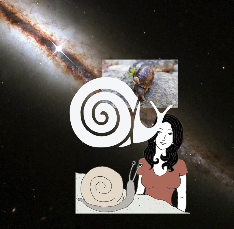 Something Strange, An Unexpected Discovery, An Unexpected Discovery | Galaxy NGC 4013 PIA04217