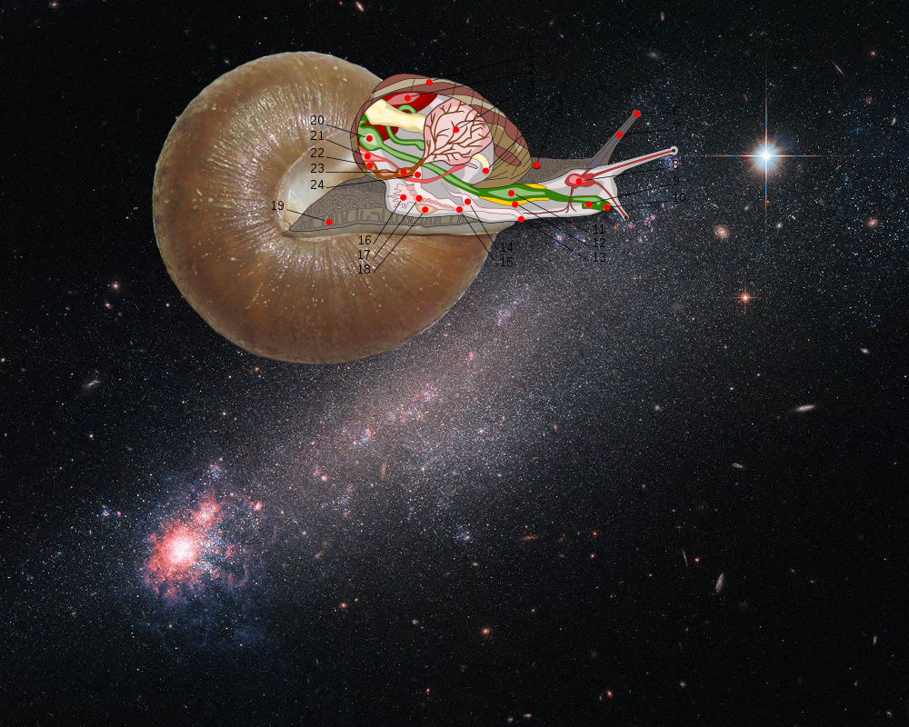 An Unexpected Discovery, A Mystery – Star birth with a chance of Winds?! GSFC_20171208_Archive_e000136