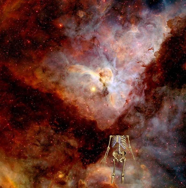 ??? | CTIO Image of Carina Nebula. GSFC_20171208_Archive_e002075