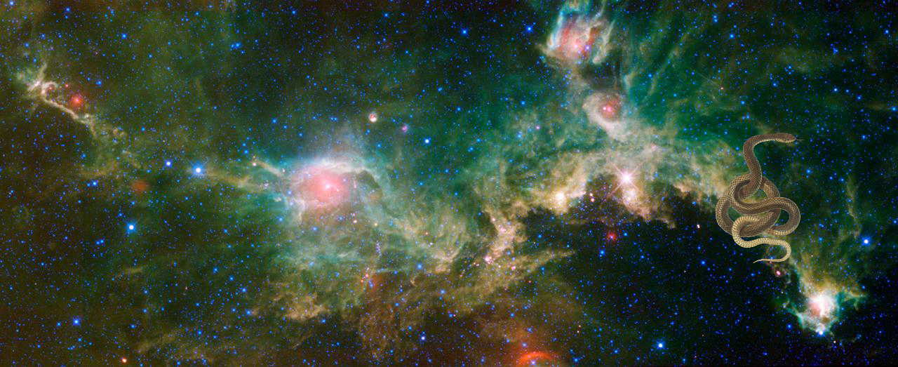 A Mystery on Seagull Nebula -- Running with the Big Dog! PIA13111