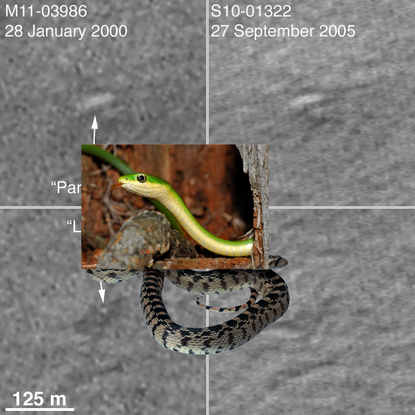 Something Strange, A Mystery on Mars Polar Lander NOT Found PIA03044
