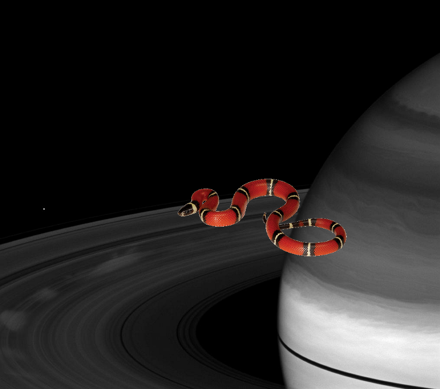 Something Strange – Bright Spokes, Dark Rings PIA11623