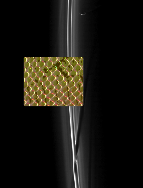 A Mystery on F Ring Fender Bender. PIA11457