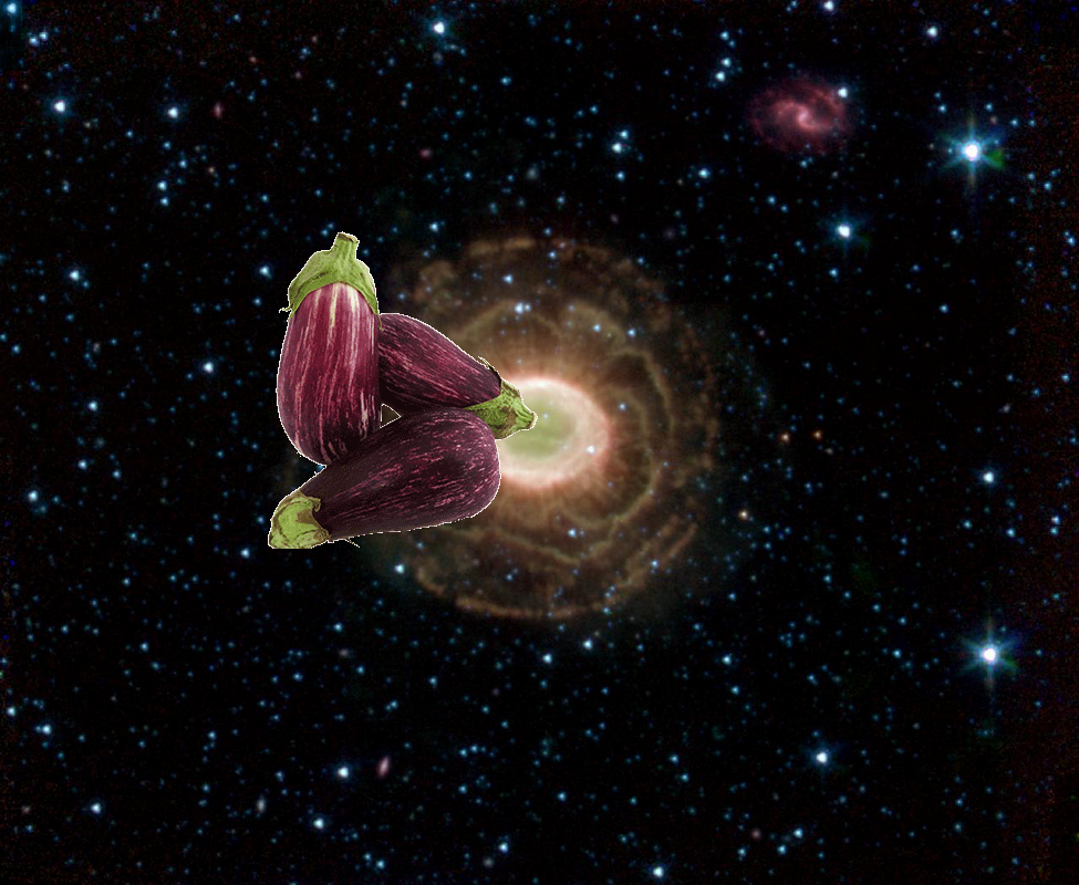A Mystery – Ring Beholds a Delicate Flower PIA07343
