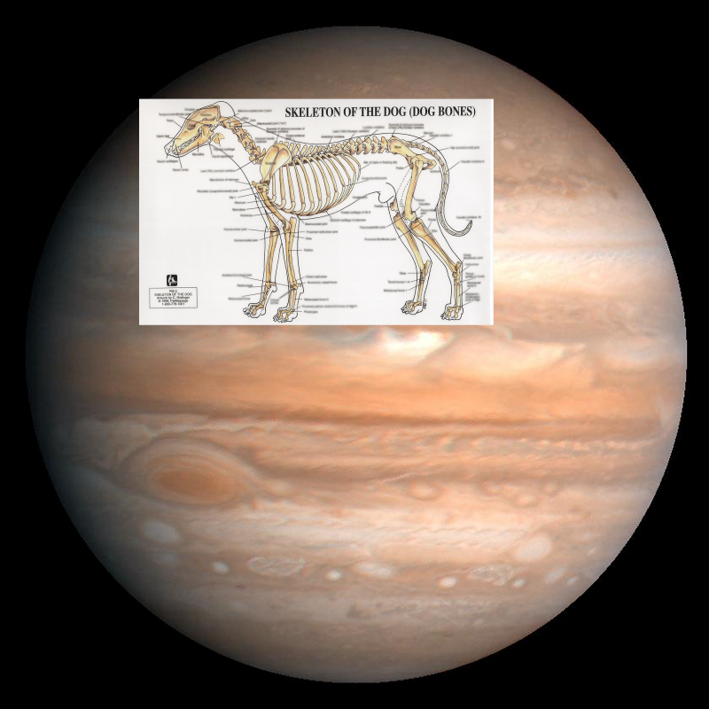 An Unexpected Discovery – Jupiter. PIA00343