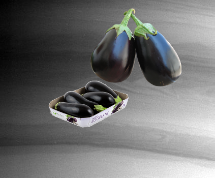 An Unexpected Discovery, An Unexpected Discovery @ Catching Saturn Waves! PIA06479