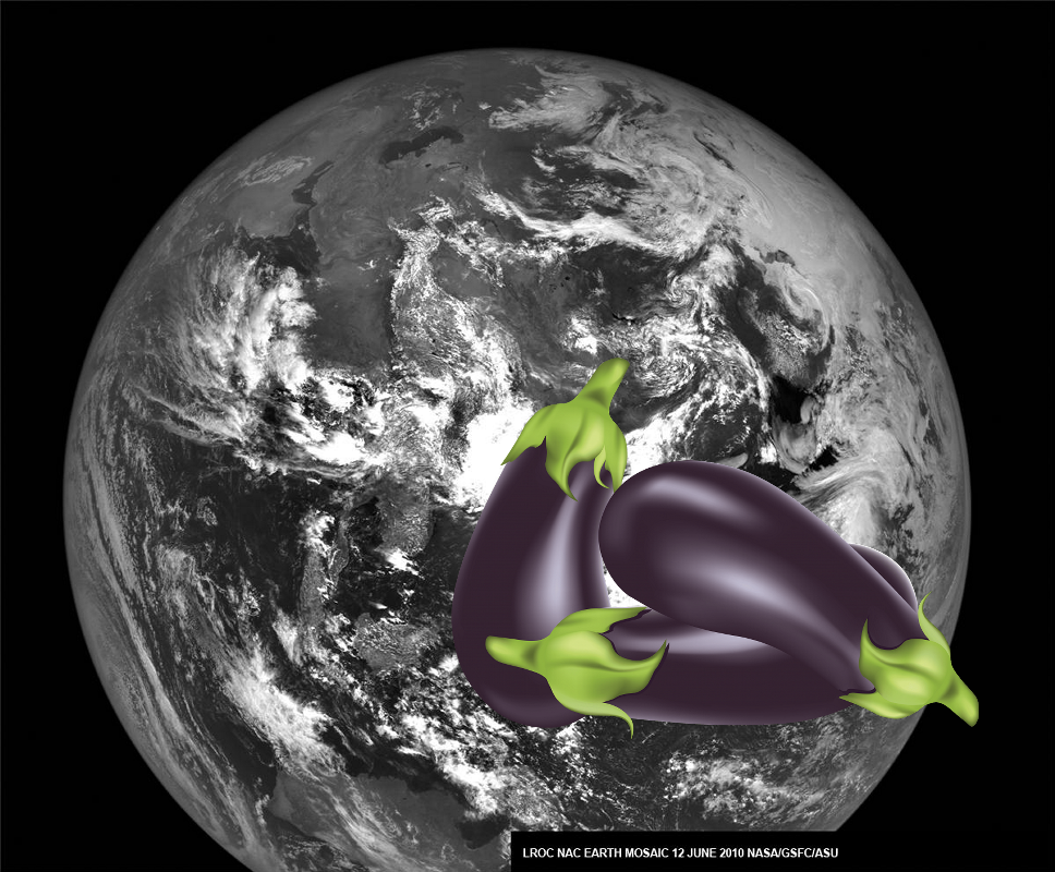 A Mystery | The Earth from the Moon. PIA13227