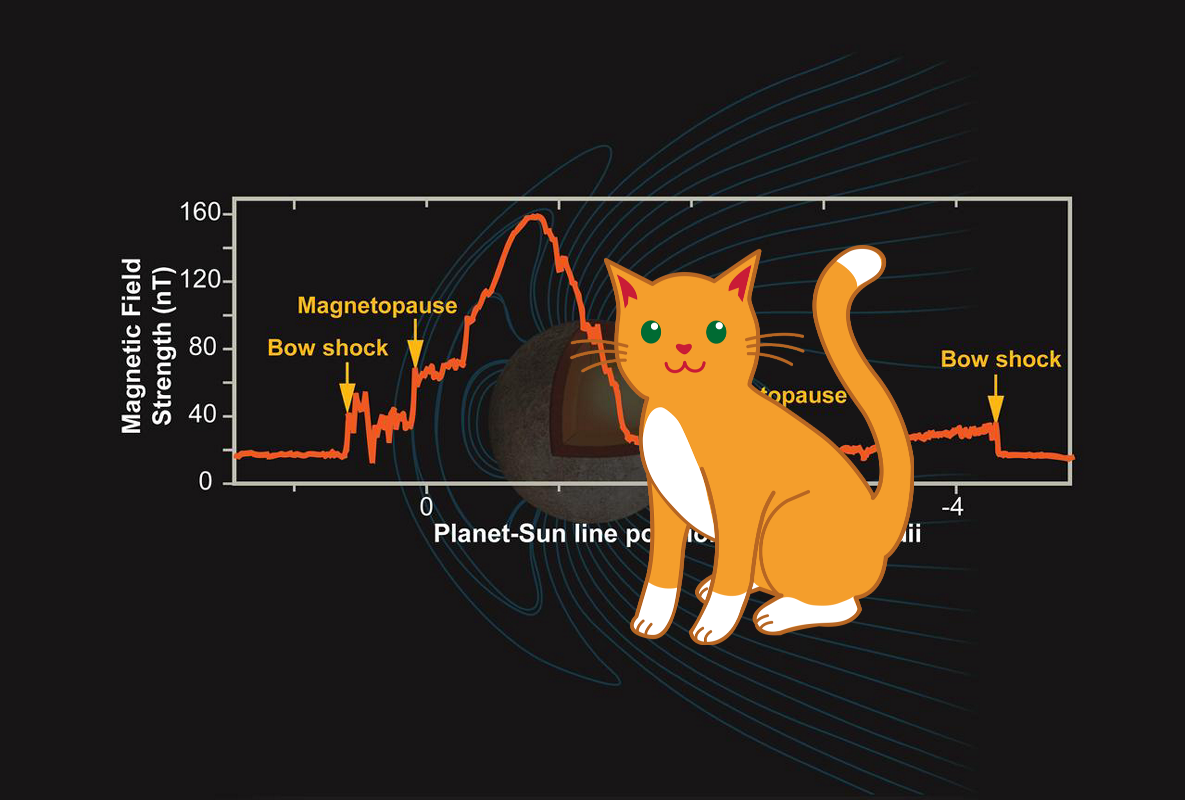 An Unexpected Discovery + Mercury Magnetic Field. PIA10395