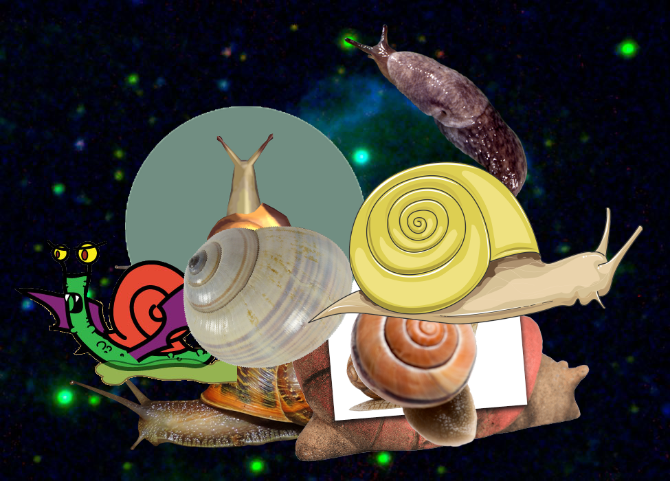 A Mystery, A Mystery, An Unexpected Discovery, A Mystery, Something Strange, A Mystery, An Unexpected Discovery… PIA09106