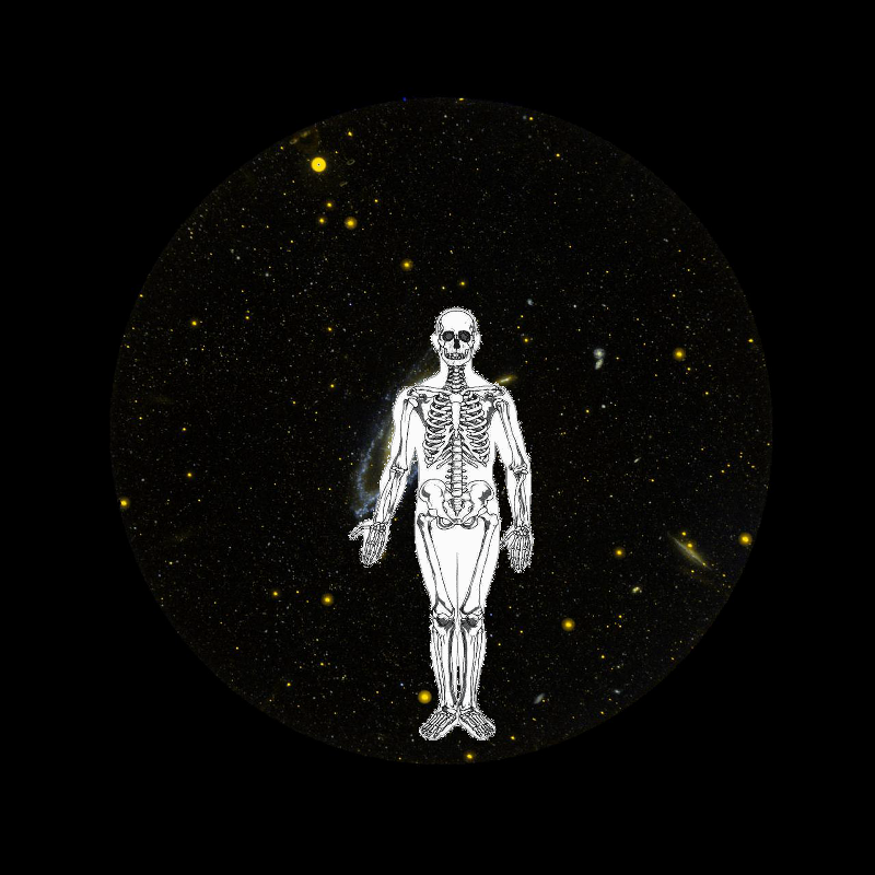 A Mystery on Galaxy Evolution Explorer Celebrates Five Years in Space. PIA10600